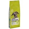 Purina Dog Chow Adult Large Breed Con Pavo