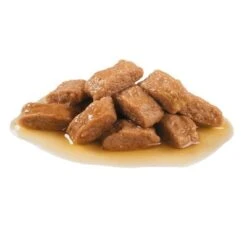 Royal Canin Medium Ageing 10 + En Salsa Para Perros -Ofertas Mascotas Tienda 82974 royalcanin medium ageing 1