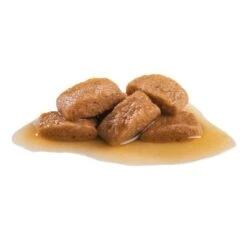 Royal Canin Maxi Ageing En Salsa Para Perros -Ofertas Mascotas Tienda 82976 royalcanin maxi ageing 7