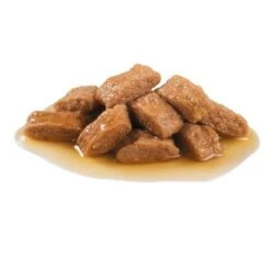 Royal Canin Medium Adult En Salsa Para Perros 9 Royal Canin Medium Adult En Salsa Para Perros -Ofertas Mascotas Tienda 83016 royalcanin medium adult 5