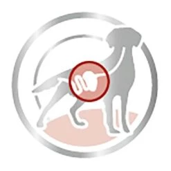 Royal Canin Medium Adult En Salsa Para Perros 8 Royal Canin Medium Adult En Salsa Para Perros -Ofertas Mascotas Tienda 83016 royalcanin medium adult picto 9