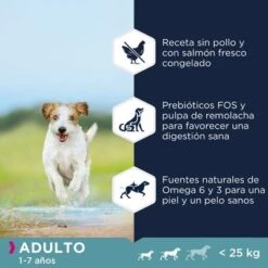 Eukanuba Grain Free Adult Razas Pequeñas Y Medianas Con Salmón -Ofertas Mascotas Tienda 87102551847531 3
