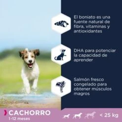 Eukanuba Grain Free Puppy Razas Pequeñas Y Medianas Con Salmón -Ofertas Mascotas Tienda 87102551848901 4