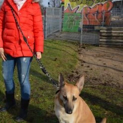 Julius K9 Correa Ajustable Julius-K9 IDC® Cordino Para Perros -Ofertas Mascotas Tienda 89698 juliusk9 idcadjustableropeleash hs 11 2