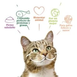 Yarrah Bio 48 X 100 G En Tarrinas Para Gatos - Pack Ahorro -Ofertas Mascotas Tienda 9125 cat alu yarrah pate beef 100g es 8714265976599 2 1