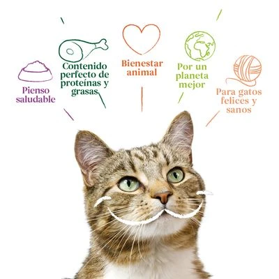 Yarrah Bio 48 X 100 G En Tarrinas Para Gatos - Pack Ahorro - Imagen 19