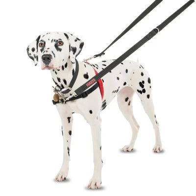 Arnés Antitirones Front Control HALTI Para Perros 7 Arnés Antitirones Front Control HALTI Para Perros - Imagen 7