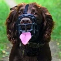 Bozal Baskerville Ultra 2.0 Con Cierres De Plástico 13 Bozal Baskerville Ultra 2.0 Con Cierres De Plástico -Ofertas Mascotas Tienda 94512 maulkorb baskerville ultra hs15 6