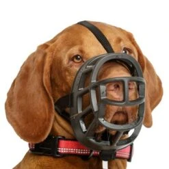 Bozal Baskerville Ultra 2.0 Con Cierres De Plástico 14 Bozal Baskerville Ultra 2.0 Con Cierres De Plástico -Ofertas Mascotas Tienda 94513 maulkorb baskerville ultra hs7 2