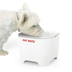 Bebedero Fuente Cat Mate Concha De Pet Mate -Ofertas Mascotas Tienda 95720 cat mate shell pet fountain hs 01 7