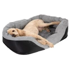 Cama Ortopédica Lazy Para Perros -Ofertas Mascotas Tienda 98297 koenigspudel fg 4710 2