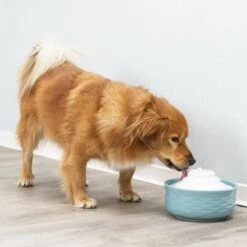 Bebedero Fuente Trixie Vital Falls De Cerámica -Ofertas Mascotas Tienda 98396 trixie trinkbrunnen vital falls keramik hs 09 2