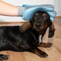 Guante De Doble Cara Para Pelaje De Mascotas -Ofertas Mascotas Tienda 98728 fellpflege handschuh fg 9972 3