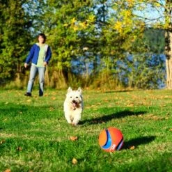 Pelota Chuckit! Kick Fetch Para Perros -Ofertas Mascotas Tienda 99703 petmate chuckit kick fetch large hs 04 9