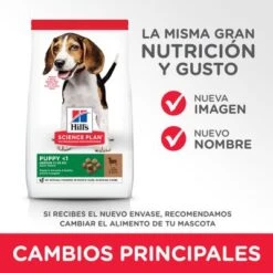 Hill's Science Plan Hill's Puppy <1 Medium Science Plan Con Cordero Y Arroz -Ofertas Mascotas Tienda atf11 604335 key changes 0