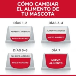 Hill's Science Plan Hill's Puppy <1 Medium Science Plan Con Cordero Y Arroz -Ofertas Mascotas Tienda atf6 604335 feeding transition 3