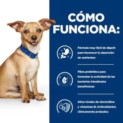 Hill's I/d Prescription Diet Digestive Care Estofado Para Perros -Ofertas Mascotas Tienda atf 606353 how it works 2