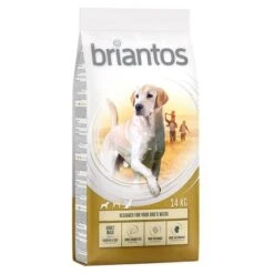 Briantos Pienso Para Perros - Pack Ahorro -Ofertas Mascotas Tienda briantos adult maxi chickenrice 14kg 1000x1000 2