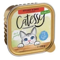Catessy En Tarrinas 32 X 100 G - Pack Mixto -Ofertas Mascotas Tienda catessy chunks beefinsauce 100g 1000x1000 2