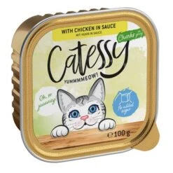 Catessy En Tarrinas 32 X 100 G - Pack Mixto -Ofertas Mascotas Tienda catessy chunks chickeninsouce 100g 1000x1000 9