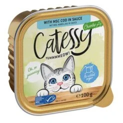 Catessy En Tarrinas 32 X 100 G - Pack Mixto -Ofertas Mascotas Tienda catessy chunks codinsauce 100g 1000x1000 0