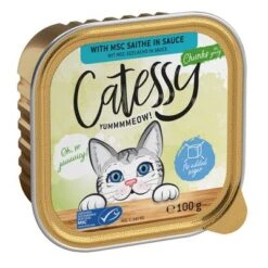Catessy En Tarrinas 32 X 100 G - Pack Mixto -Ofertas Mascotas Tienda catessy chunks saitheinsauce 100g 1000x1000 8