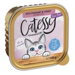 Catessy En Tarrinas 32 X 100 G - Pack Mixto -Ofertas Mascotas Tienda catessy finepate pheasant turkey 100g 1000x1000 0