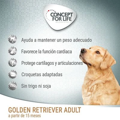 Concept For Life Golden Retriever Adult 2 Concept For Life Golden Retriever Adult - Imagen 2