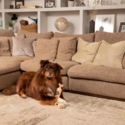 Pet Head Sensitive Soul Champú Para Perros -Ofertas Mascotas Tienda companyofanimals pethead sensitivesoul set3teilig hs 08 9