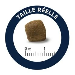 Advance Articular Care Senior Veterinary Diets Para Perros -Ofertas Mascotas Tienda dog advance vet diets articular care 1