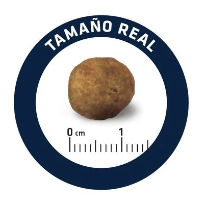 Advance Articular Care Reduced Calorie Veterinary Diets Para Perros 6 Advance Articular Care Reduced Calorie Veterinary Diets Para Perros - Imagen 6