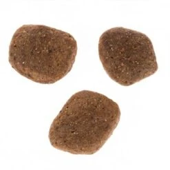 Pack Ahorro: 2 X 12 Kg Wolf Of Wilderness The Taste Of -Ofertas Mascotas Tienda dsc2627 4