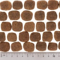 Pack Ahorro: 2 X 12 Kg Wolf Of Wilderness The Taste Of -Ofertas Mascotas Tienda dsc2632 2