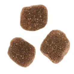 Wolf Of Wilderness The Taste Of The Mediterranean -Ofertas Mascotas Tienda dsc2639 2