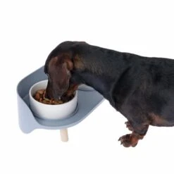 TIAKI Comedero Doble De Cerámica Para Mascotas -Ofertas Mascotas Tienda dsc6184 0