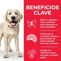 Hill's Science Plan Hill's Adult 1-5 Light Large Science Plan Con Pollo -Ofertas Mascotas Tienda es dog adult large light chicken transition benefits 1 8