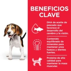 Hill's Science Plan Hill's Puppy <1 Medium Science Plan Con Pollo 11 Hill's Science Plan Hill's Puppy <1 Medium Science Plan Con Pollo -Ofertas Mascotas Tienda es dog puppy medium chicken transition benefits jpg 1 1