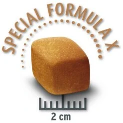 Concept For Life Golden Retriever Adult 7 Concept For Life Golden Retriever Adult -Ofertas Mascotas Tienda golden retriever krokette 9