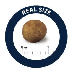 Advance Gastroenteric Veterinary Diets Para Perros -Ofertas Mascotas Tienda i 4 6