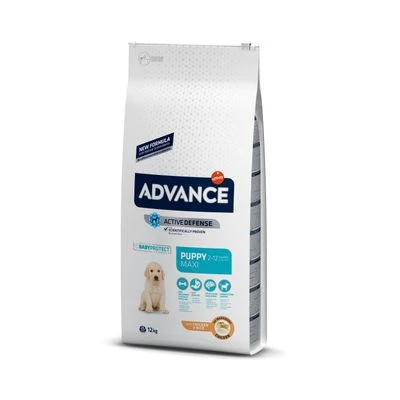 Advance Puppy Protect Maxi Pollo Y Arroz 5 Advance Puppy Protect Maxi Pollo Y Arroz - Imagen 5
