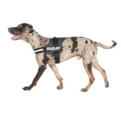 Julius K9 Arnés JULIUS-K9® Power Antracita Para Perros -Ofertas Mascotas Tienda juliusk9 powergeschirr anthrazit2 4