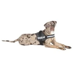 Julius K9 Arnés JULIUS-K9® Power Antracita Para Perros -Ofertas Mascotas Tienda juliusk9 powergeschirr anthrazit 1