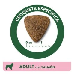 Affinity Libra Adult Con Salmón Pienso Para Perros -Ofertas Mascotas Tienda kibble libra dog adult salmon es 3