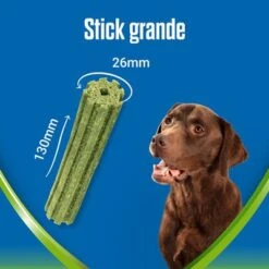 PURINA Dentalife Active Fresh Snacks Dentales Para Perros Grandes -Ofertas Mascotas Tienda l 1 6