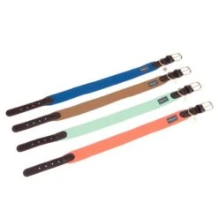 Collar Nomad Tales Bloom Caramelo Para Perros -Ofertas Mascotas Tienda nomad tales bloom halsbaender fg 1487 3