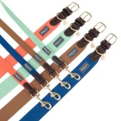 Collar Nomad Tales Bloom Caramelo Para Perros -Ofertas Mascotas Tienda nomad tales bloom halsbaender fg 1502 8