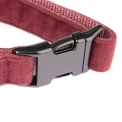 Collar Nomad Tales Blush Vino Para Perros -Ofertas Mascotas Tienda nomad tales blush halsbaender fg 1322 7