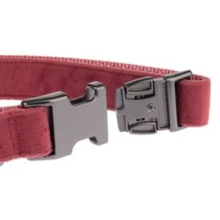 Collar Nomad Tales Blush Vino Para Perros -Ofertas Mascotas Tienda nomad tales blush halsbaender fg 1323 7