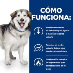 Hill's C/d Urinary Care + Metabolic Prescription Diet Pienso Para Perros -Ofertas Mascotas Tienda pd cd metabolic dog bk27895m how works es 9