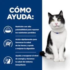 Hill's I/d Prescription Diet Digestive Care Latas Para Gatos -Ofertas Mascotas Tienda pd id activbiome cat bk30994m bk30913 bk31379 bk30787 bk31600m bk31599m how helps es 3
